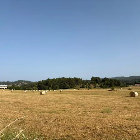 Oasi Sculca